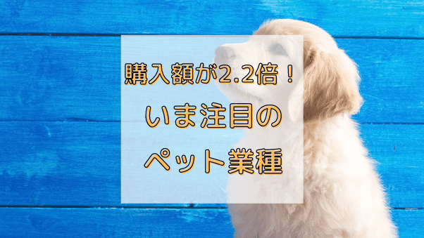 購入金額が前年同月比2.2倍増！増えつつあるペット関連事業者の購入と人気アイテムと...